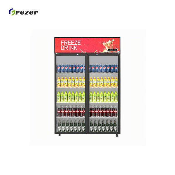 220V Stand Up Display Freezer R290 Restaurant Display Freezers Frost Resistant For Beverage Beer Milk